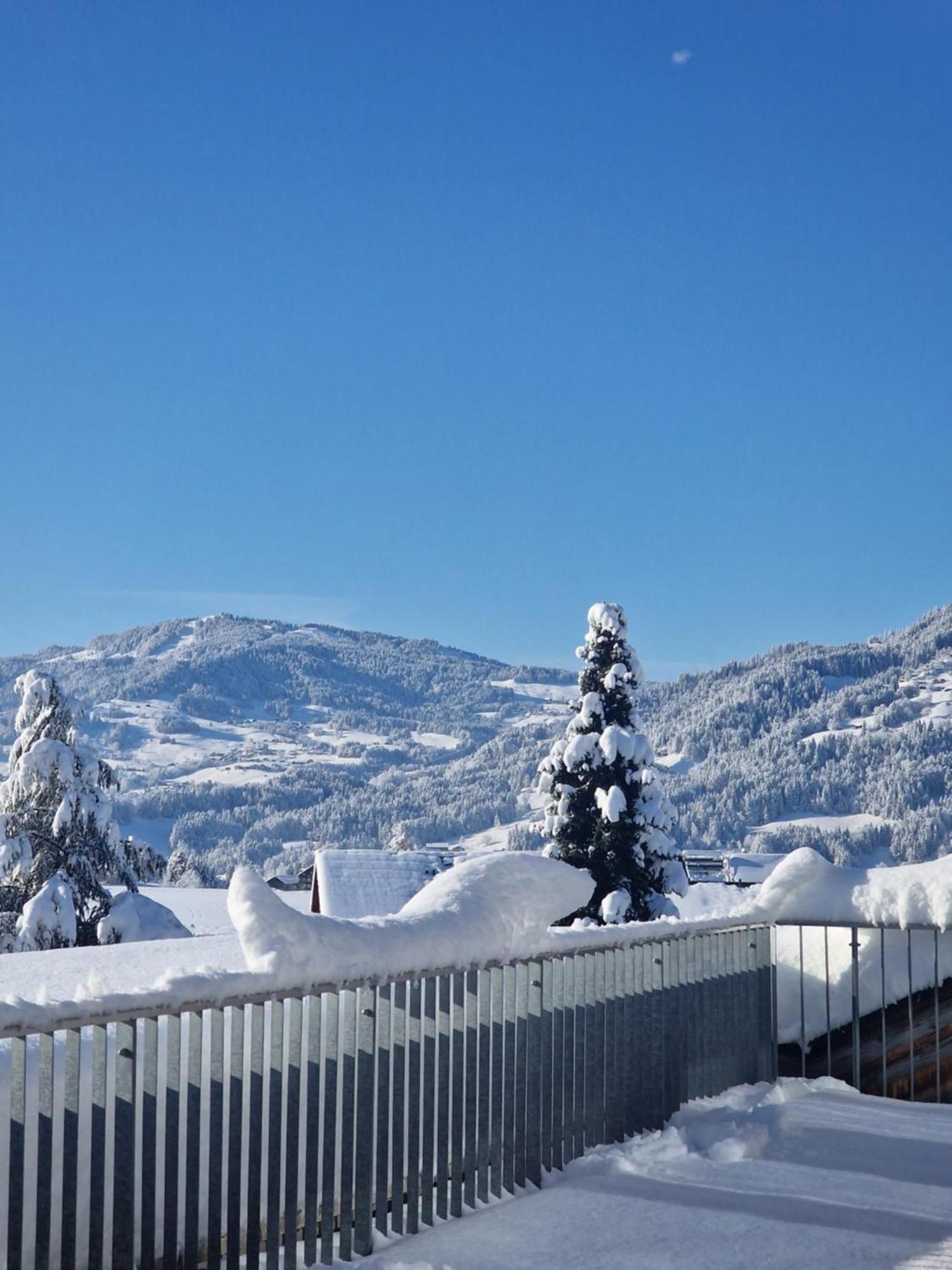 Familienhotel Adler Lingenau Exterior foto